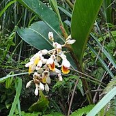 DSC02431.JPG