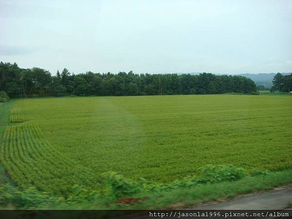 DSC09578.JPG