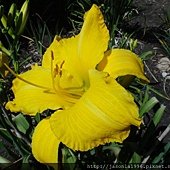 DSC01303.JPG
