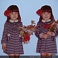 DSC03774 - Copy.JPG