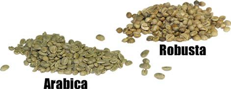 arabica_robusta_lg.jpg