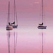 1381323_10202078117972693_1602868117_n