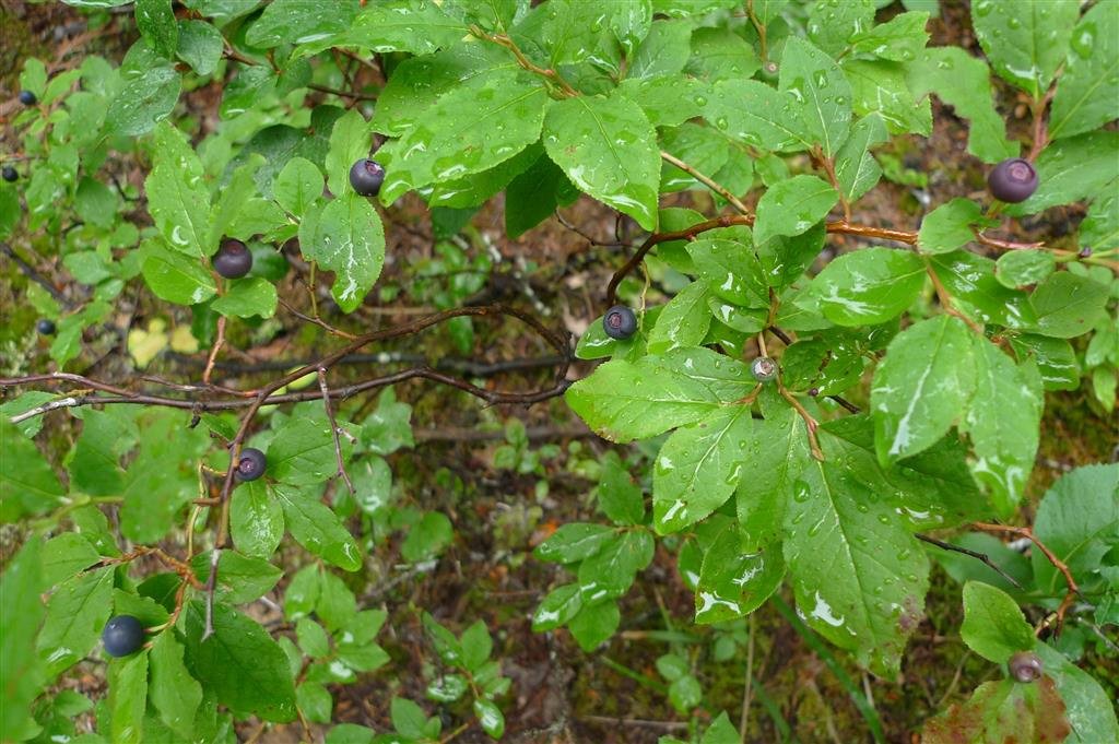 P1540557.JPG