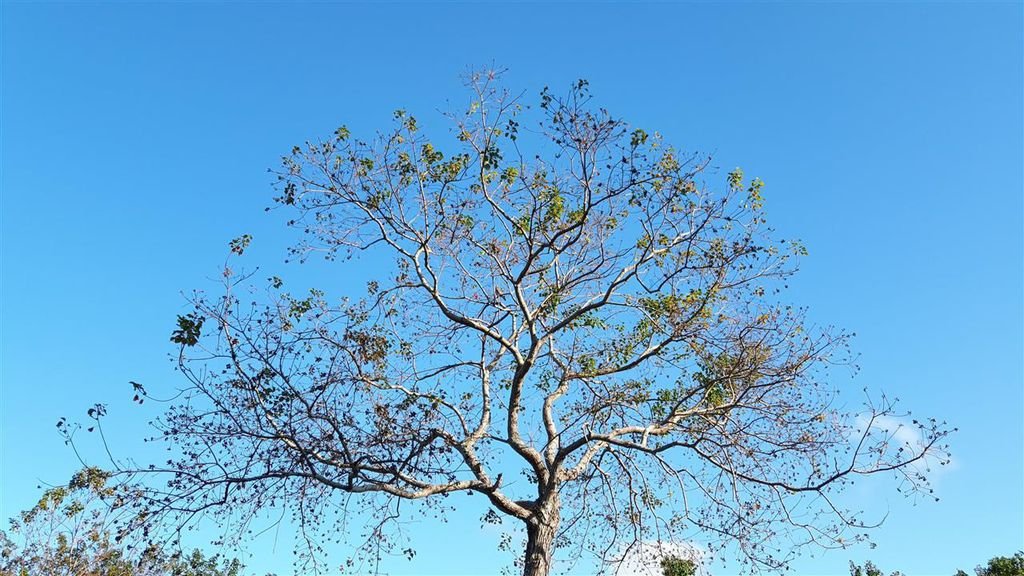20181230_152904.jpg