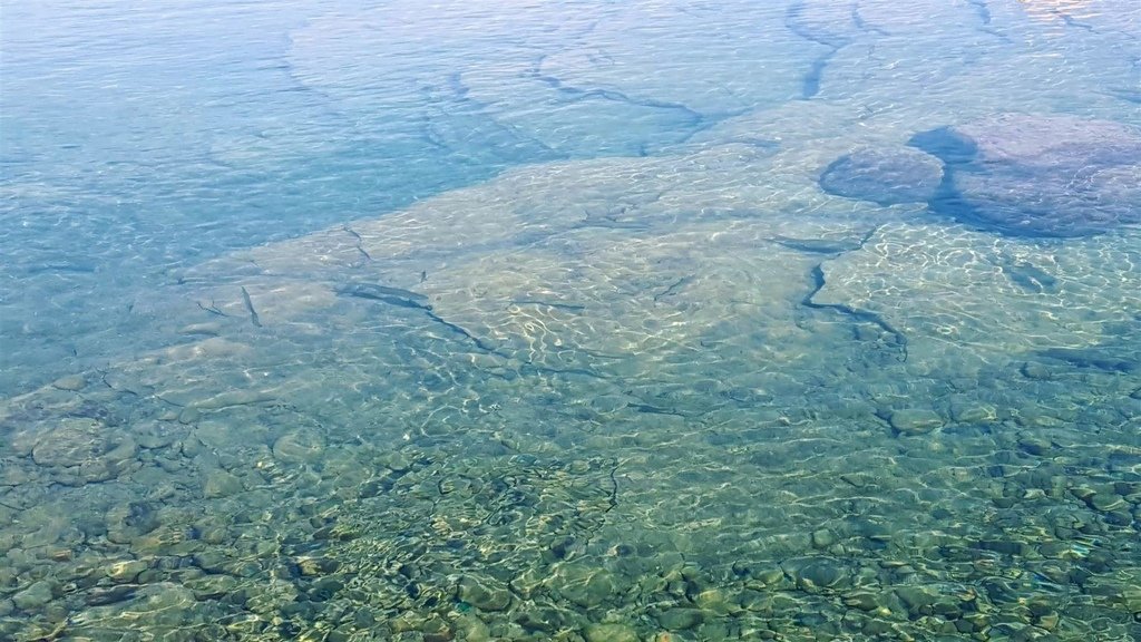 20200104_113850.jpg