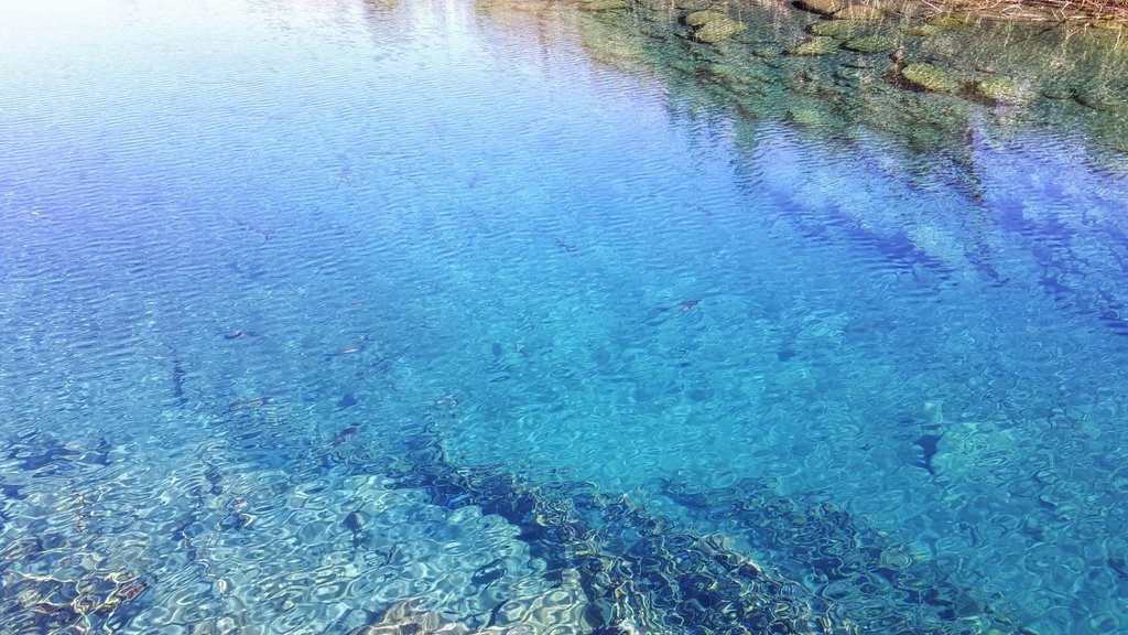 20210120_113027.jpg