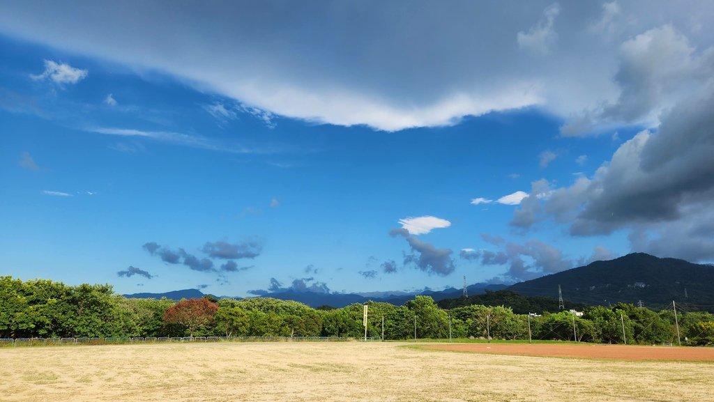 花鳥蟲獸 雲山水