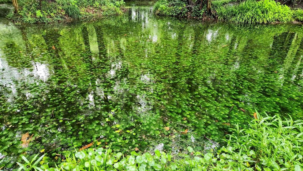 西湖煙雨 浙江潮