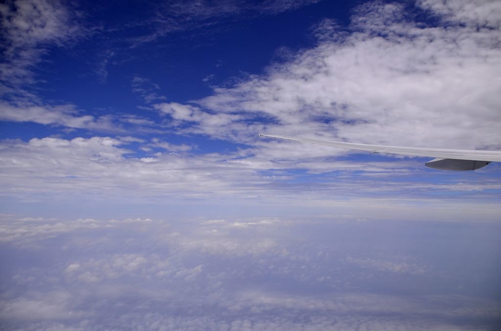 _D7K1903.jpg