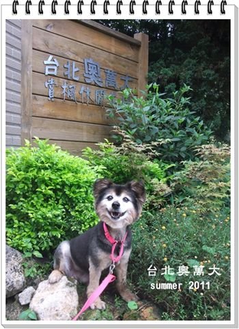 台北奧萬大.jpg