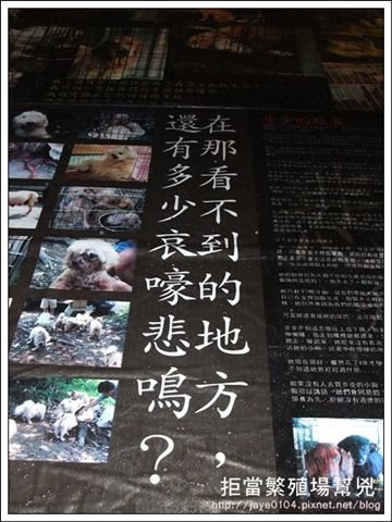 飢餓、囚禁、死亡：買寵物的背後 (37).jpg