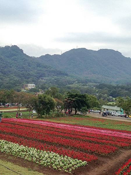 121231_2大溪花海農場_083