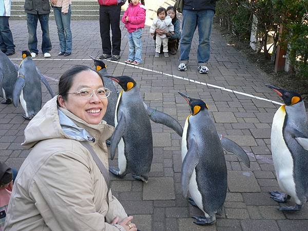 1125_2登別_尼克斯水族館_010_企鵝遊行