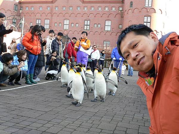 1125_2登別_尼克斯水族館_013_企鵝遊行