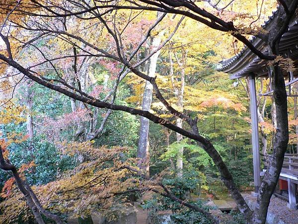 1127_1京都_大原三千院_006