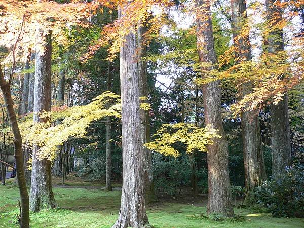 1127_1京都_大原三千院_015