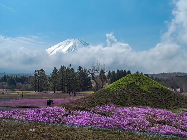 0501_3富士山芝櫻祭會場_026