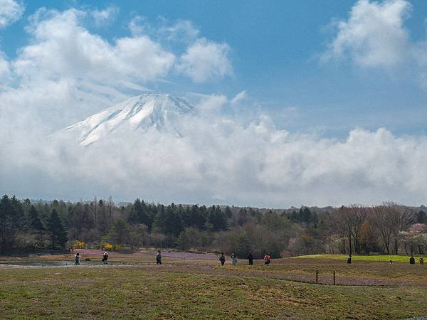 0501_3富士山芝櫻祭會場_008