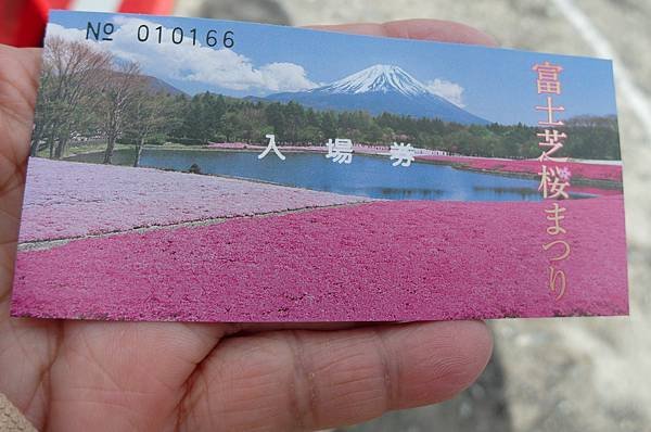 0501_3富士山芝櫻祭會場_001