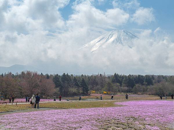 0501_3富士山芝櫻祭會場_007