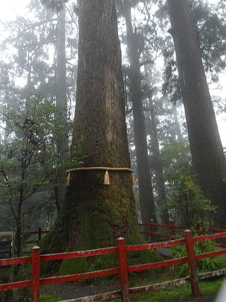 0430_5箱根神社_041