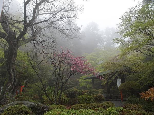 0430_5箱根神社_043