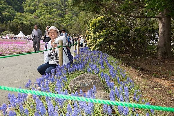 0518_5河口湖_芝櫻公園_338