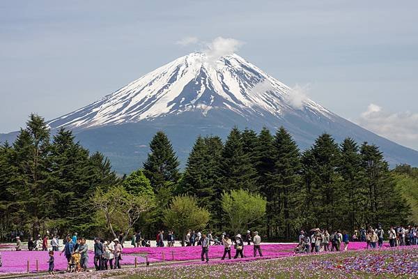 0518_5河口湖_芝櫻公園_043