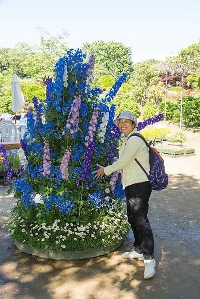 0517_7足利花園_221