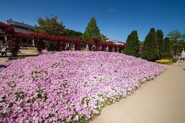 0517_7足利花園_038