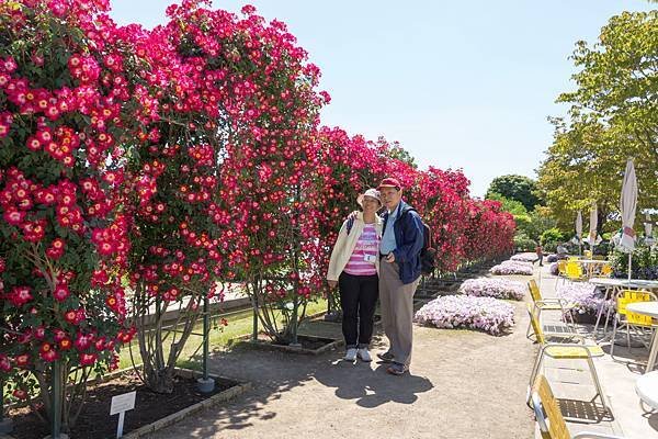 0517_7足利花園_024