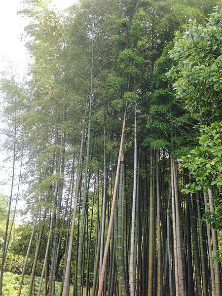 0616_4岡山_後樂園_064