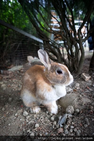 DSC01534_調整大小.jpg