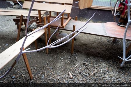 DSC01453_調整大小.jpg