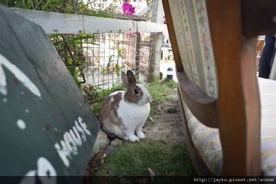 DSC01733_調整大小.jpg