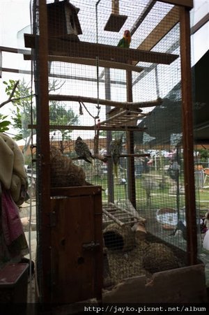 DSC01613_調整大小.jpg
