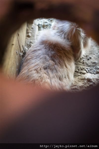 DSC01750_調整大小.jpg