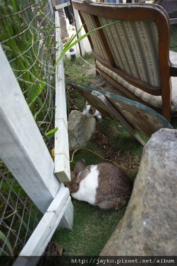 DSC01690_調整大小.jpg