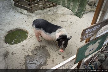 DSC01473_調整大小.jpg