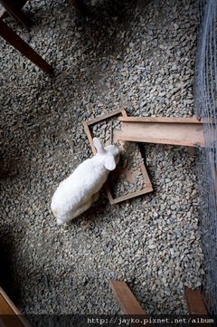 DSC01461_調整大小.jpg