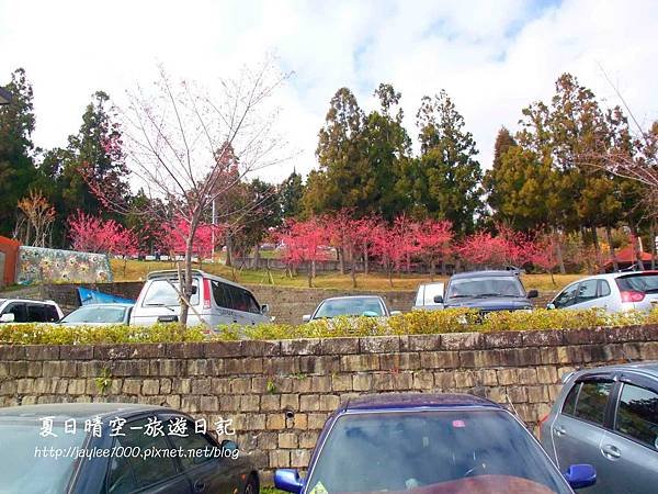 DSCF3880.JPG