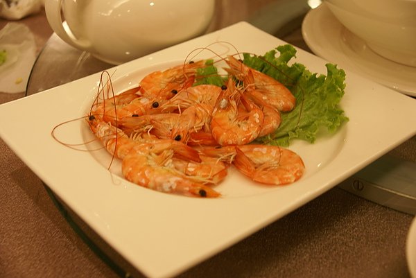 DSC08100.JPG