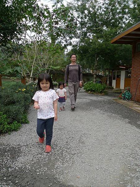 P1070268.jpg