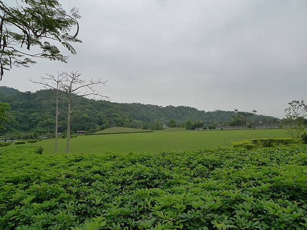 P1060857.JPG