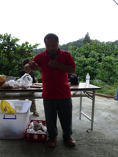 P1050223.JPG