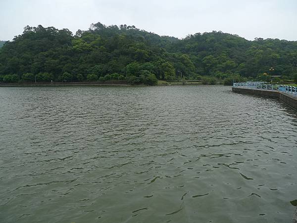 P1060859.JPG