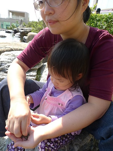 P1050047.JPG