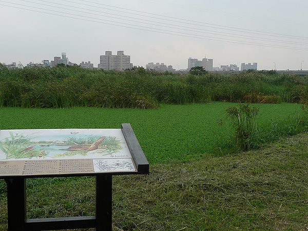 P1030936.JPG