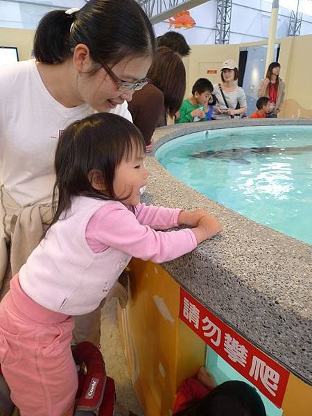 P1070064.JPG