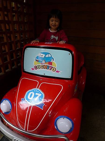 P1070171.jpg